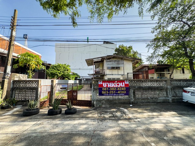 ประกาศฟรี! ซื้อ-ขาย-เช่า คอนโด บ้าน ทาวน์โฮม ที่ดิน และพื้นที่เชิงพาณิชย์ทั่วประเทศไทย ทุกทำเล ทุกงบประมาณ ไม่มีค่าใช้จ่าย ลงง่าย ขายไว เข้าถึงผู้ซื้อโดยตรง 2 291075pic1.jpg