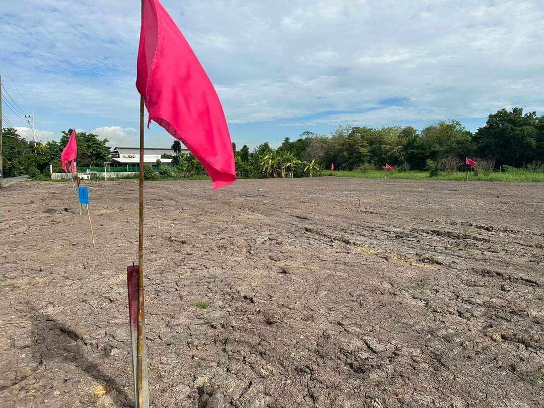 ประกาศฟรี! ซื้อ-ขาย-เช่า คอนโด บ้าน ทาวน์โฮม ที่ดิน และพื้นที่เชิงพาณิชย์ทั่วประเทศไทย ทุกทำเล ทุกงบประมาณ ไม่มีค่าใช้จ่าย ลงง่าย ขายไว เข้าถึงผู้ซื้อโดยตรง 4 169369pic3.jpg