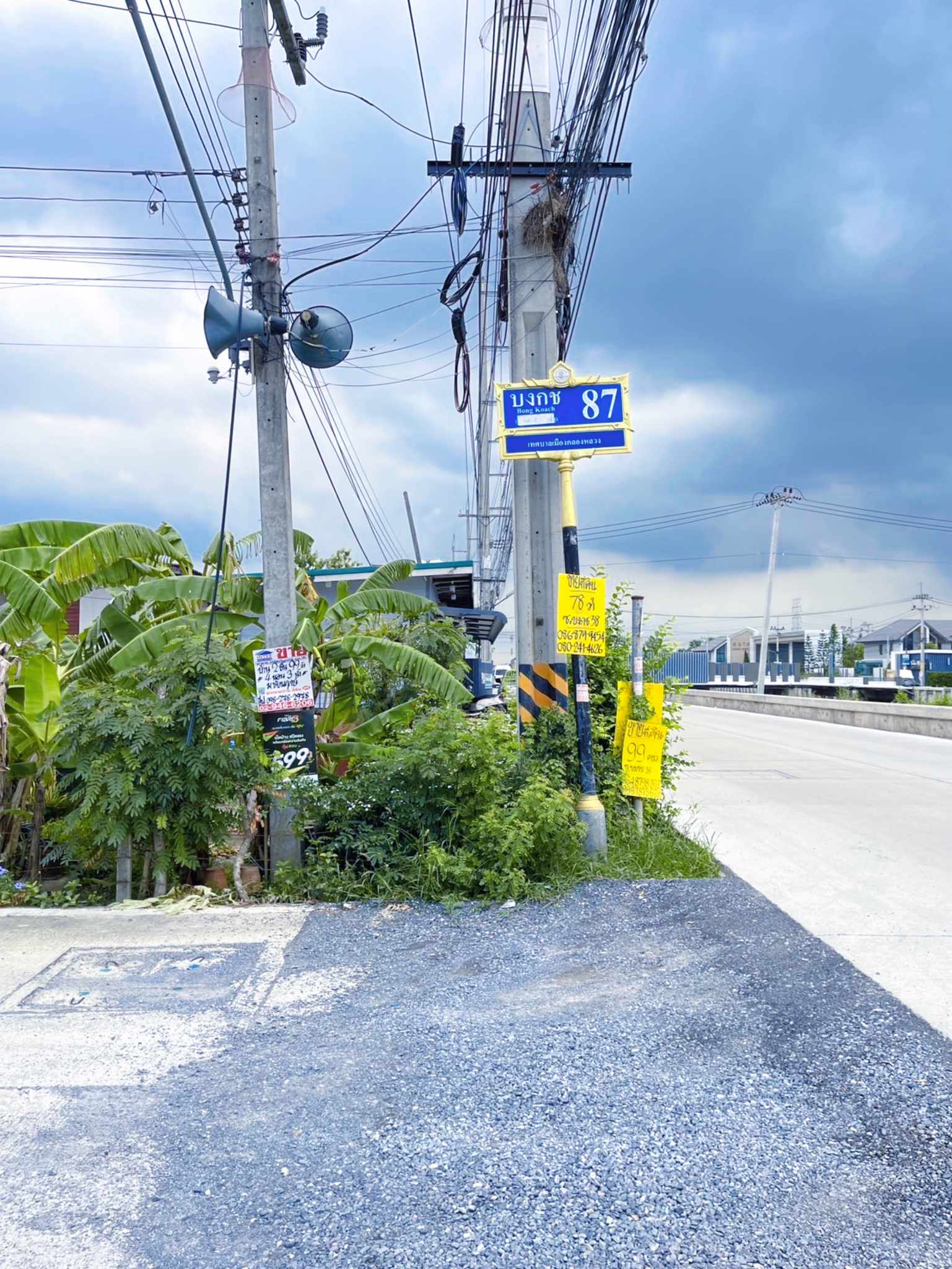 ประกาศฟรี! ซื้อ-ขาย-เช่า คอนโด บ้าน ทาวน์โฮม ที่ดิน และพื้นที่เชิงพาณิชย์ทั่วประเทศไทย ทุกทำเล ทุกงบประมาณ ไม่มีค่าใช้จ่าย ลงง่าย ขายไว เข้าถึงผู้ซื้อโดยตรง 3 169376pic2.jpg