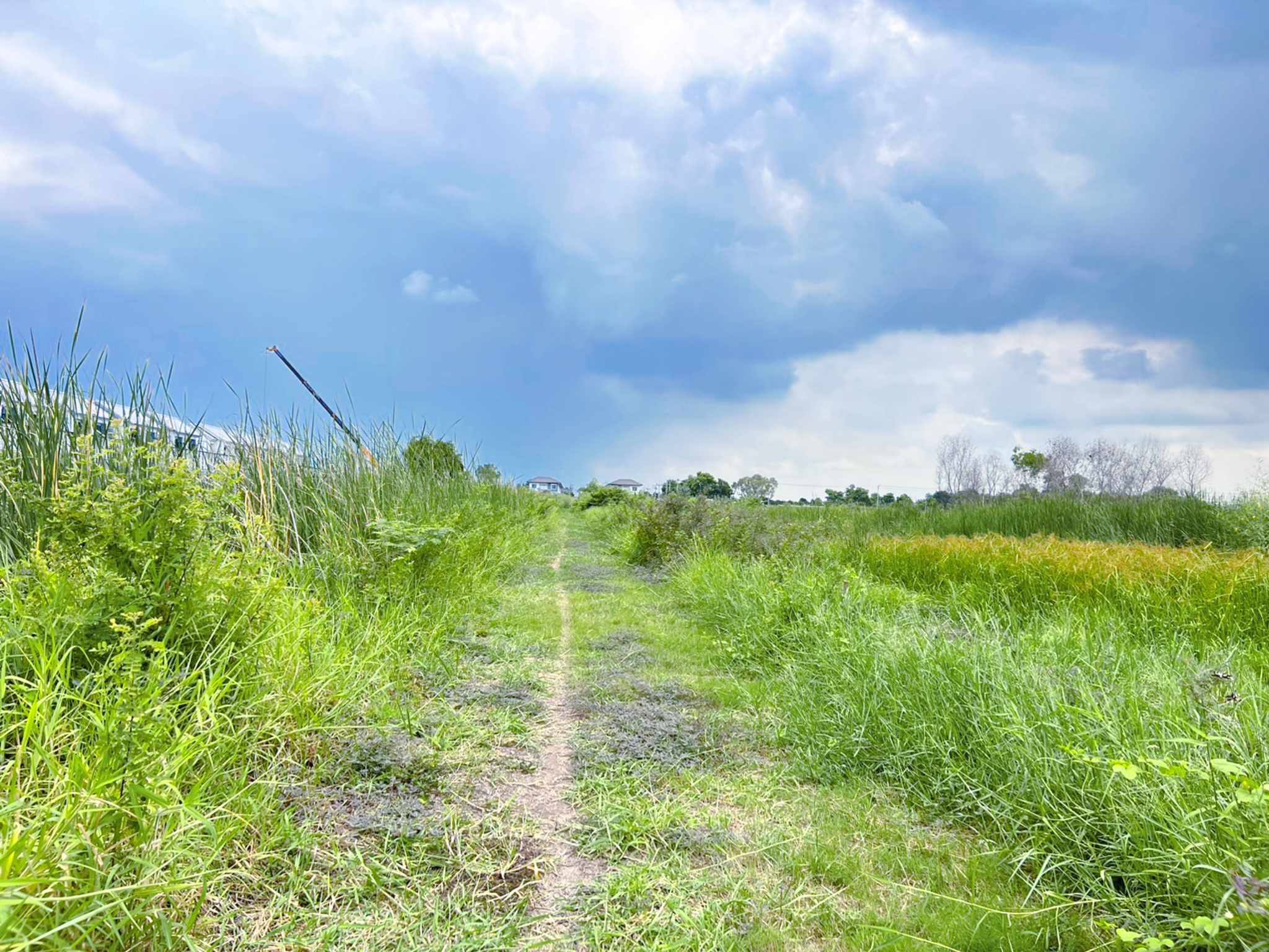 ประกาศฟรี! ซื้อ-ขาย-เช่า คอนโด บ้าน ทาวน์โฮม ที่ดิน และพื้นที่เชิงพาณิชย์ทั่วประเทศไทย ทุกทำเล ทุกงบประมาณ ไม่มีค่าใช้จ่าย ลงง่าย ขายไว เข้าถึงผู้ซื้อโดยตรง 5 169376pic4.jpg