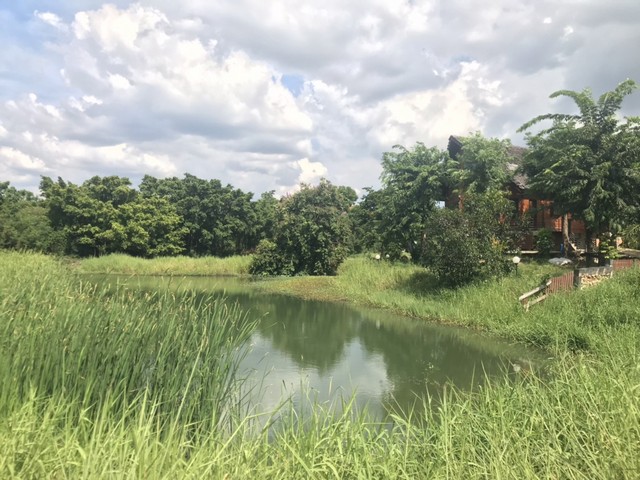 ประกาศฟรี! ซื้อ-ขาย-เช่า คอนโด บ้าน ทาวน์โฮม ที่ดิน และพื้นที่เชิงพาณิชย์ทั่วประเทศไทย ทุกทำเล ทุกงบประมาณ ไม่มีค่าใช้จ่าย ลงง่าย ขายไว เข้าถึงผู้ซื้อโดยตรง 2 275751pic1.jpg