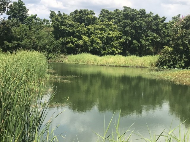 ประกาศฟรี! ซื้อ-ขาย-เช่า คอนโด บ้าน ทาวน์โฮม ที่ดิน และพื้นที่เชิงพาณิชย์ทั่วประเทศไทย ทุกทำเล ทุกงบประมาณ ไม่มีค่าใช้จ่าย ลงง่าย ขายไว เข้าถึงผู้ซื้อโดยตรง 3 275751pic2.jpg