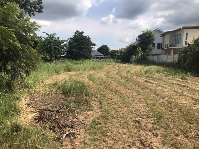 ประกาศฟรี! ซื้อ-ขาย-เช่า คอนโด บ้าน ทาวน์โฮม ที่ดิน และพื้นที่เชิงพาณิชย์ทั่วประเทศไทย ทุกทำเล ทุกงบประมาณ ไม่มีค่าใช้จ่าย ลงง่าย ขายไว เข้าถึงผู้ซื้อโดยตรง 5 275751pic4.jpg