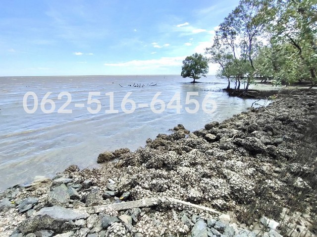 ประกาศฟรี! ซื้อ-ขาย-เช่า คอนโด บ้าน ทาวน์โฮม ที่ดิน และพื้นที่เชิงพาณิชย์ทั่วประเทศไทย ทุกทำเล ทุกงบประมาณ ไม่มีค่าใช้จ่าย ลงง่าย ขายไว เข้าถึงผู้ซื้อโดยตรง 2 265577pic1.jpg