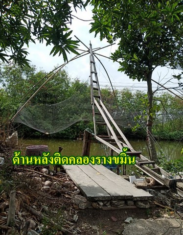 ประกาศฟรี! ซื้อ-ขาย-เช่า คอนโด บ้าน ทาวน์โฮม ที่ดิน และพื้นที่เชิงพาณิชย์ทั่วประเทศไทย ทุกทำเล ทุกงบประมาณ ไม่มีค่าใช้จ่าย ลงง่าย ขายไว เข้าถึงผู้ซื้อโดยตรง 4 30345pic3.jpg