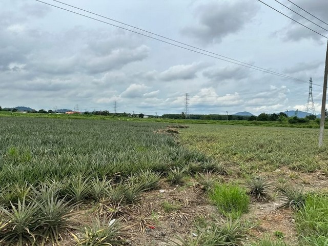 ประกาศฟรี! ซื้อ-ขาย-เช่า คอนโด บ้าน ทาวน์โฮม ที่ดิน และพื้นที่เชิงพาณิชย์ทั่วประเทศไทย ทุกทำเล ทุกงบประมาณ ไม่มีค่าใช้จ่าย ลงง่าย ขายไว เข้าถึงผู้ซื้อโดยตรง 3 21178pic2.jpg