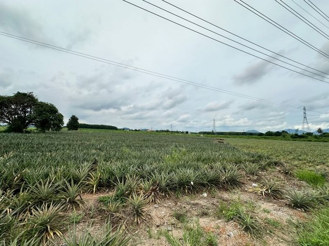 ประกาศฟรี! ซื้อ-ขาย-เช่า คอนโด บ้าน ทาวน์โฮม ที่ดิน และพื้นที่เชิงพาณิชย์ทั่วประเทศไทย ทุกทำเล ทุกงบประมาณ ไม่มีค่าใช้จ่าย ลงง่าย ขายไว เข้าถึงผู้ซื้อโดยตรง 5 21178pic4.jpg