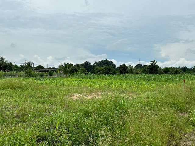 ประกาศฟรี! ซื้อ-ขาย-เช่า คอนโด บ้าน ทาวน์โฮม ที่ดิน และพื้นที่เชิงพาณิชย์ทั่วประเทศไทย ทุกทำเล ทุกงบประมาณ ไม่มีค่าใช้จ่าย ลงง่าย ขายไว เข้าถึงผู้ซื้อโดยตรง 2 21169pic1.jpg