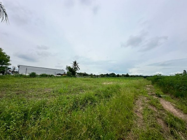 ประกาศฟรี! ซื้อ-ขาย-เช่า คอนโด บ้าน ทาวน์โฮม ที่ดิน และพื้นที่เชิงพาณิชย์ทั่วประเทศไทย ทุกทำเล ทุกงบประมาณ ไม่มีค่าใช้จ่าย ลงง่าย ขายไว เข้าถึงผู้ซื้อโดยตรง 4 21169pic3.jpg