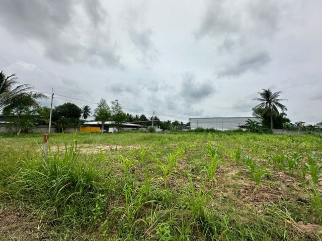 ประกาศฟรี! ซื้อ-ขาย-เช่า คอนโด บ้าน ทาวน์โฮม ที่ดิน และพื้นที่เชิงพาณิชย์ทั่วประเทศไทย ทุกทำเล ทุกงบประมาณ ไม่มีค่าใช้จ่าย ลงง่าย ขายไว เข้าถึงผู้ซื้อโดยตรง 5 21169pic4.jpg