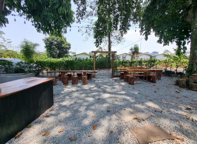 ประกาศฟรี! ซื้อ-ขาย-เช่า คอนโด บ้าน ทาวน์โฮม ที่ดิน และพื้นที่เชิงพาณิชย์ทั่วประเทศไทย ทุกทำเล ทุกงบประมาณ ไม่มีค่าใช้จ่าย ลงง่าย ขายไว เข้าถึงผู้ซื้อโดยตรง 2 21158pic1.jpg