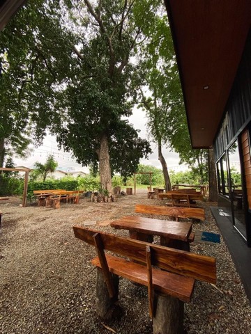 ประกาศฟรี! ซื้อ-ขาย-เช่า คอนโด บ้าน ทาวน์โฮม ที่ดิน และพื้นที่เชิงพาณิชย์ทั่วประเทศไทย ทุกทำเล ทุกงบประมาณ ไม่มีค่าใช้จ่าย ลงง่าย ขายไว เข้าถึงผู้ซื้อโดยตรง 4 21158pic3.jpg