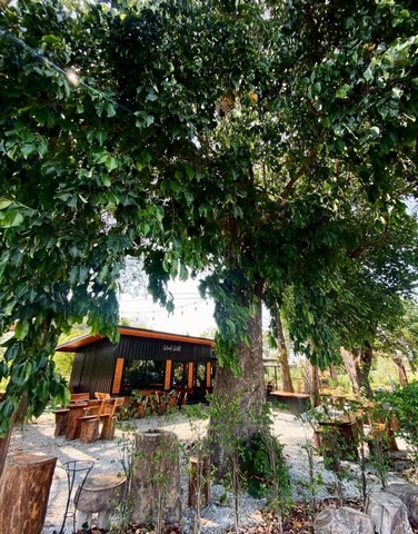 ประกาศฟรี! ซื้อ-ขาย-เช่า คอนโด บ้าน ทาวน์โฮม ที่ดิน และพื้นที่เชิงพาณิชย์ทั่วประเทศไทย ทุกทำเล ทุกงบประมาณ ไม่มีค่าใช้จ่าย ลงง่าย ขายไว เข้าถึงผู้ซื้อโดยตรง 5 21158pic4.jpg