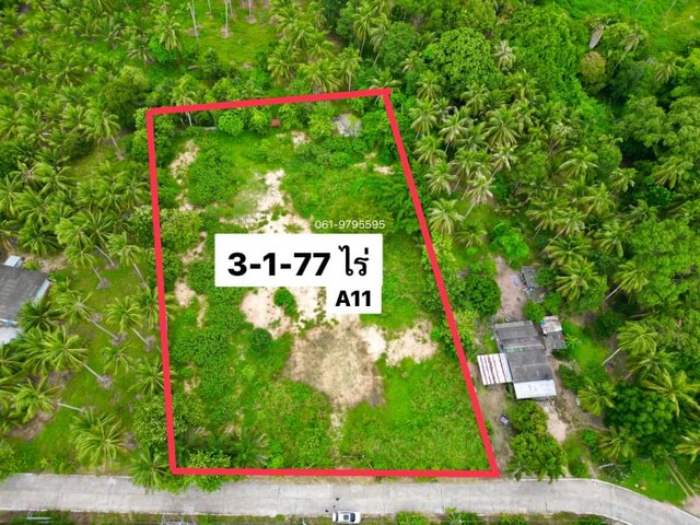 ประกาศฟรี! ซื้อ-ขาย-เช่า คอนโด บ้าน ทาวน์โฮม ที่ดิน และพื้นที่เชิงพาณิชย์ทั่วประเทศไทย ทุกทำเล ทุกงบประมาณ ไม่มีค่าใช้จ่าย ลงง่าย ขายไว เข้าถึงผู้ซื้อโดยตรง 3 21139pic2.jpg