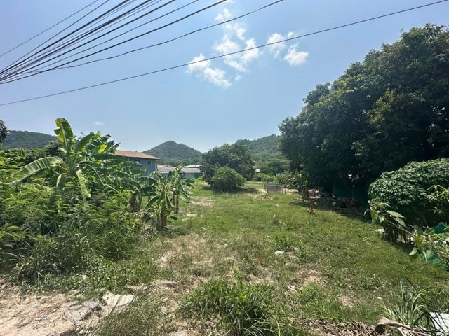 ประกาศฟรี! ซื้อ-ขาย-เช่า คอนโด บ้าน ทาวน์โฮม ที่ดิน และพื้นที่เชิงพาณิชย์ทั่วประเทศไทย ทุกทำเล ทุกงบประมาณ ไม่มีค่าใช้จ่าย ลงง่าย ขายไว เข้าถึงผู้ซื้อโดยตรง 2 21230pic1.jpg