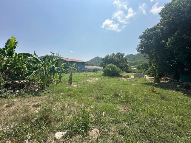 ประกาศฟรี! ซื้อ-ขาย-เช่า คอนโด บ้าน ทาวน์โฮม ที่ดิน และพื้นที่เชิงพาณิชย์ทั่วประเทศไทย ทุกทำเล ทุกงบประมาณ ไม่มีค่าใช้จ่าย ลงง่าย ขายไว เข้าถึงผู้ซื้อโดยตรง 3 21230pic2.jpg