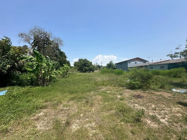 ประกาศฟรี! ซื้อ-ขาย-เช่า คอนโด บ้าน ทาวน์โฮม ที่ดิน และพื้นที่เชิงพาณิชย์ทั่วประเทศไทย ทุกทำเล ทุกงบประมาณ ไม่มีค่าใช้จ่าย ลงง่าย ขายไว เข้าถึงผู้ซื้อโดยตรง 4 21230pic3.jpg