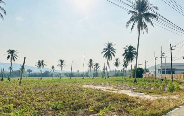 ประกาศฟรี! ซื้อ-ขาย-เช่า คอนโด บ้าน ทาวน์โฮม ที่ดิน และพื้นที่เชิงพาณิชย์ทั่วประเทศไทย ทุกทำเล ทุกงบประมาณ ไม่มีค่าใช้จ่าย ลงง่าย ขายไว เข้าถึงผู้ซื้อโดยตรง 2 21679pic1.jpg