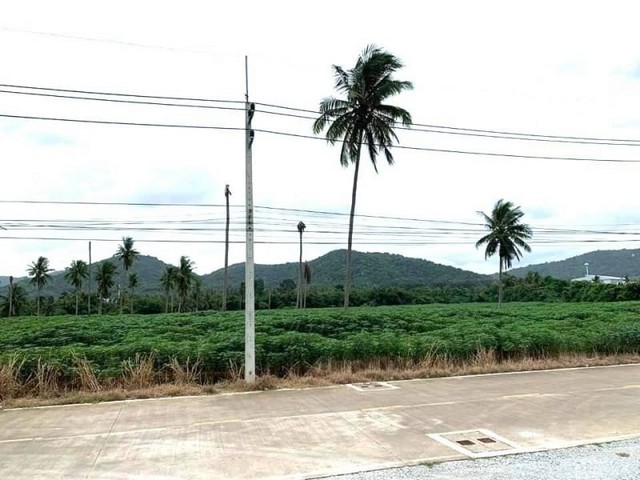 ประกาศฟรี! ซื้อ-ขาย-เช่า คอนโด บ้าน ทาวน์โฮม ที่ดิน และพื้นที่เชิงพาณิชย์ทั่วประเทศไทย ทุกทำเล ทุกงบประมาณ ไม่มีค่าใช้จ่าย ลงง่าย ขายไว เข้าถึงผู้ซื้อโดยตรง 3 21679pic2.jpg