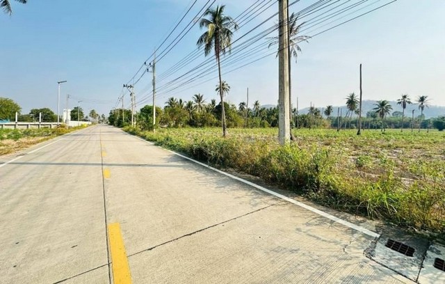 ประกาศฟรี! ซื้อ-ขาย-เช่า คอนโด บ้าน ทาวน์โฮม ที่ดิน และพื้นที่เชิงพาณิชย์ทั่วประเทศไทย ทุกทำเล ทุกงบประมาณ ไม่มีค่าใช้จ่าย ลงง่าย ขายไว เข้าถึงผู้ซื้อโดยตรง 4 21679pic3.jpg