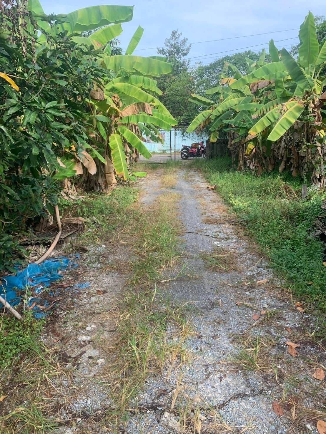 ประกาศฟรี! ซื้อ-ขาย-เช่า คอนโด บ้าน ทาวน์โฮม ที่ดิน และพื้นที่เชิงพาณิชย์ทั่วประเทศไทย ทุกทำเล ทุกงบประมาณ ไม่มีค่าใช้จ่าย ลงง่าย ขายไว เข้าถึงผู้ซื้อโดยตรง 3 170483pic2.jpg