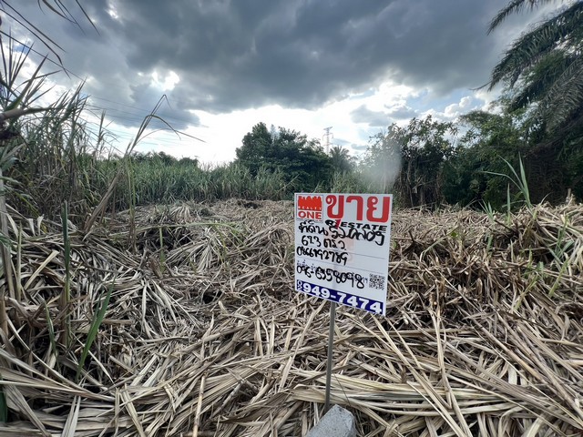 ประกาศฟรี! ซื้อ-ขาย-เช่า คอนโด บ้าน ทาวน์โฮม ที่ดิน และพื้นที่เชิงพาณิชย์ทั่วประเทศไทย ทุกทำเล ทุกงบประมาณ ไม่มีค่าใช้จ่าย ลงง่าย ขายไว เข้าถึงผู้ซื้อโดยตรง 2 7733pic1.jpg