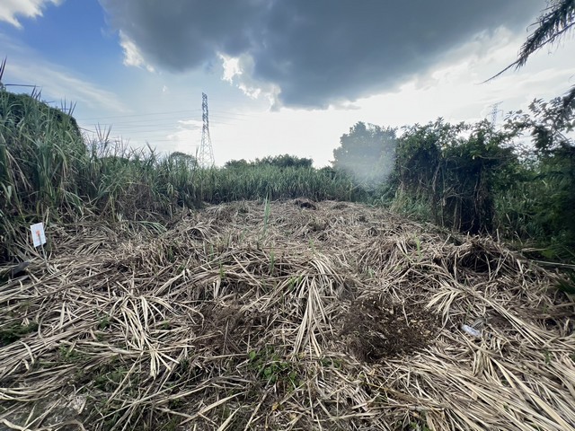 ประกาศฟรี! ซื้อ-ขาย-เช่า คอนโด บ้าน ทาวน์โฮม ที่ดิน และพื้นที่เชิงพาณิชย์ทั่วประเทศไทย ทุกทำเล ทุกงบประมาณ ไม่มีค่าใช้จ่าย ลงง่าย ขายไว เข้าถึงผู้ซื้อโดยตรง 4 7733pic3.jpg