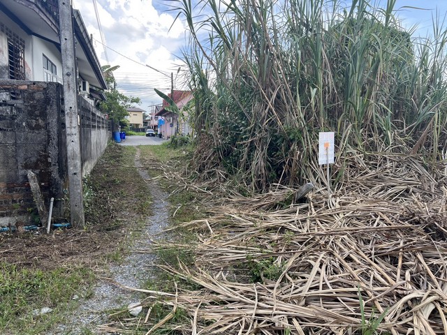 ประกาศฟรี! ซื้อ-ขาย-เช่า คอนโด บ้าน ทาวน์โฮม ที่ดิน และพื้นที่เชิงพาณิชย์ทั่วประเทศไทย ทุกทำเล ทุกงบประมาณ ไม่มีค่าใช้จ่าย ลงง่าย ขายไว เข้าถึงผู้ซื้อโดยตรง 5 7733pic4.jpg