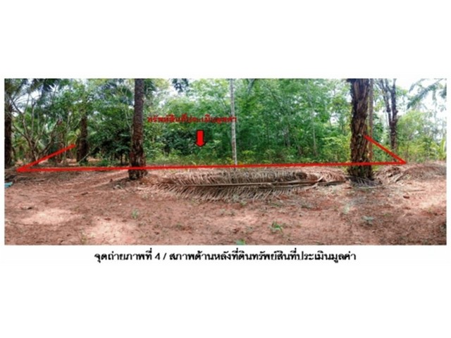 ประกาศฟรี! ซื้อ-ขาย-เช่า คอนโด บ้าน ทาวน์โฮม ที่ดิน และพื้นที่เชิงพาณิชย์ทั่วประเทศไทย ทุกทำเล ทุกงบประมาณ ไม่มีค่าใช้จ่าย ลงง่าย ขายไว เข้าถึงผู้ซื้อโดยตรง 4 170329pic3.jpg