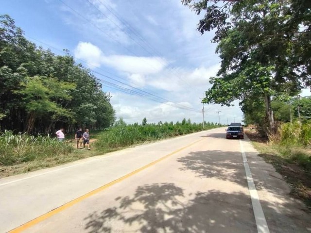 ประกาศฟรี! ซื้อ-ขาย-เช่า คอนโด บ้าน ทาวน์โฮม ที่ดิน และพื้นที่เชิงพาณิชย์ทั่วประเทศไทย ทุกทำเล ทุกงบประมาณ ไม่มีค่าใช้จ่าย ลงง่าย ขายไว เข้าถึงผู้ซื้อโดยตรง 5 21352pic4.jpg