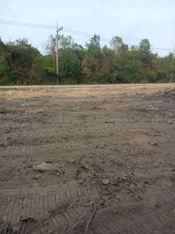 ประกาศฟรี! ซื้อ-ขาย-เช่า คอนโด บ้าน ทาวน์โฮม ที่ดิน และพื้นที่เชิงพาณิชย์ทั่วประเทศไทย ทุกทำเล ทุกงบประมาณ ไม่มีค่าใช้จ่าย ลงง่าย ขายไว เข้าถึงผู้ซื้อโดยตรง 3 21348pic2.jpg