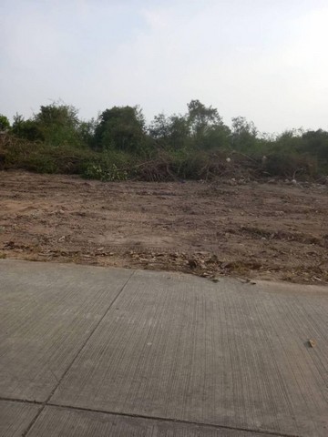 ประกาศฟรี! ซื้อ-ขาย-เช่า คอนโด บ้าน ทาวน์โฮม ที่ดิน และพื้นที่เชิงพาณิชย์ทั่วประเทศไทย ทุกทำเล ทุกงบประมาณ ไม่มีค่าใช้จ่าย ลงง่าย ขายไว เข้าถึงผู้ซื้อโดยตรง 5 21348pic4.jpg