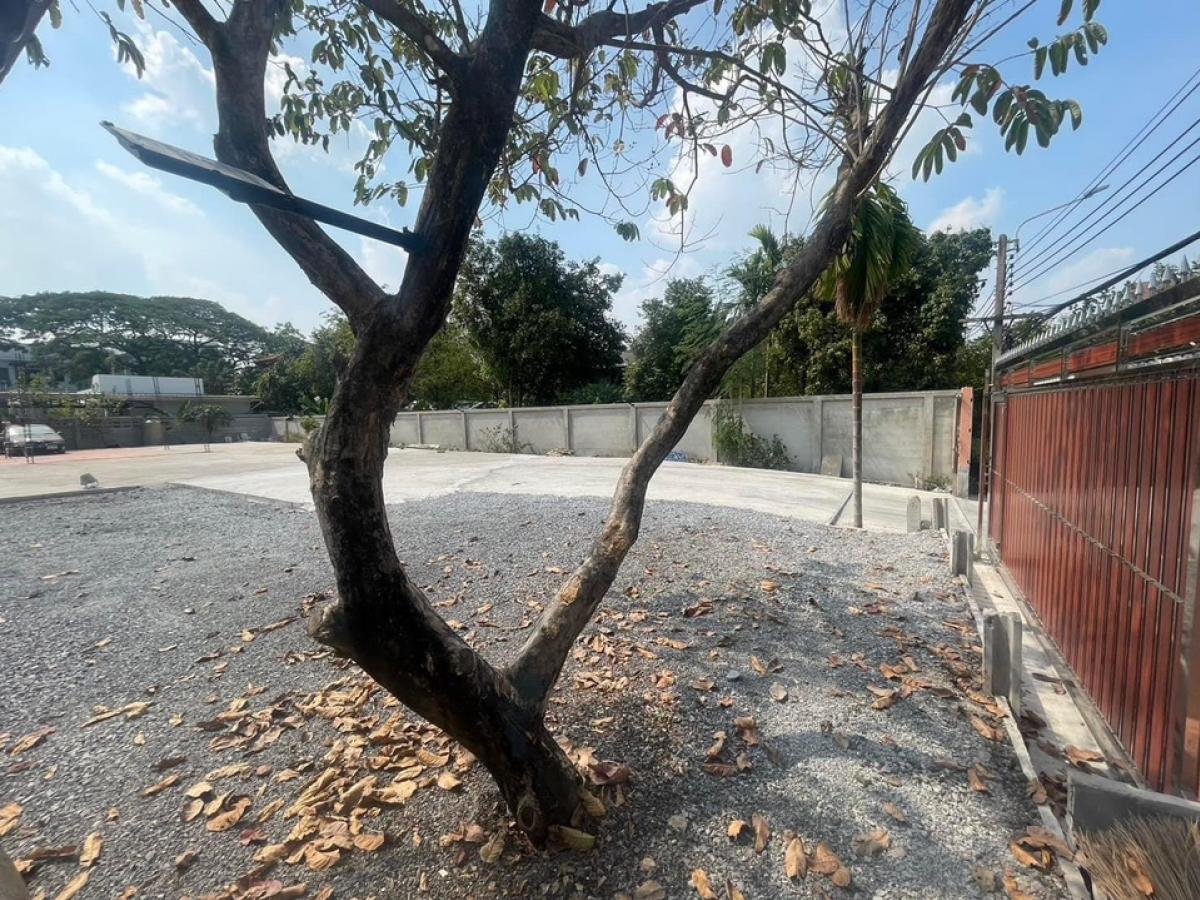 ประกาศฟรี! ซื้อ-ขาย-เช่า คอนโด บ้าน ทาวน์โฮม ที่ดิน และพื้นที่เชิงพาณิชย์ทั่วประเทศไทย ทุกทำเล ทุกงบประมาณ ไม่มีค่าใช้จ่าย ลงง่าย ขายไว เข้าถึงผู้ซื้อโดยตรง 4 170218pic3.jpg