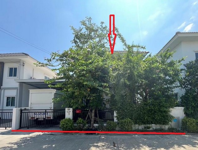 ประกาศฟรี! ซื้อ-ขาย-เช่า คอนโด บ้าน ทาวน์โฮม ที่ดิน และพื้นที่เชิงพาณิชย์ทั่วประเทศไทย ทุกทำเล ทุกงบประมาณ ไม่มีค่าใช้จ่าย ลงง่าย ขายไว เข้าถึงผู้ซื้อโดยตรง 2 170878pic1.jpg