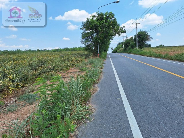 ประกาศฟรี! ซื้อ-ขาย-เช่า คอนโด บ้าน ทาวน์โฮม ที่ดิน และพื้นที่เชิงพาณิชย์ทั่วประเทศไทย ทุกทำเล ทุกงบประมาณ ไม่มีค่าใช้จ่าย ลงง่าย ขายไว เข้าถึงผู้ซื้อโดยตรง 3 171702pic2.jpg