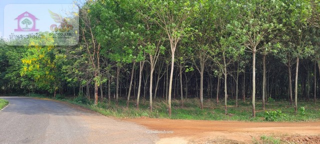 ประกาศฟรี! ซื้อ-ขาย-เช่า คอนโด บ้าน ทาวน์โฮม ที่ดิน และพื้นที่เชิงพาณิชย์ทั่วประเทศไทย ทุกทำเล ทุกงบประมาณ ไม่มีค่าใช้จ่าย ลงง่าย ขายไว เข้าถึงผู้ซื้อโดยตรง 3 171668pic2.jpg