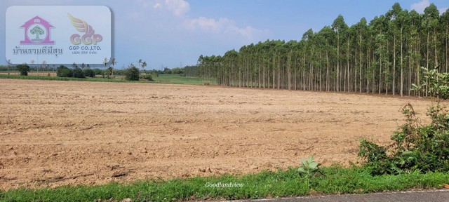 ประกาศฟรี! ซื้อ-ขาย-เช่า คอนโด บ้าน ทาวน์โฮม ที่ดิน และพื้นที่เชิงพาณิชย์ทั่วประเทศไทย ทุกทำเล ทุกงบประมาณ ไม่มีค่าใช้จ่าย ลงง่าย ขายไว เข้าถึงผู้ซื้อโดยตรง 4 171668pic3.jpg