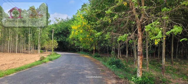 ประกาศฟรี! ซื้อ-ขาย-เช่า คอนโด บ้าน ทาวน์โฮม ที่ดิน และพื้นที่เชิงพาณิชย์ทั่วประเทศไทย ทุกทำเล ทุกงบประมาณ ไม่มีค่าใช้จ่าย ลงง่าย ขายไว เข้าถึงผู้ซื้อโดยตรง 5 171668pic4.jpg