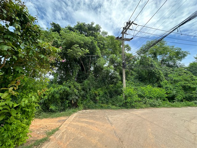 ประกาศฟรี! ซื้อ-ขาย-เช่า คอนโด บ้าน ทาวน์โฮม ที่ดิน และพื้นที่เชิงพาณิชย์ทั่วประเทศไทย ทุกทำเล ทุกงบประมาณ ไม่มีค่าใช้จ่าย ลงง่าย ขายไว เข้าถึงผู้ซื้อโดยตรง 3 21748pic2.jpg