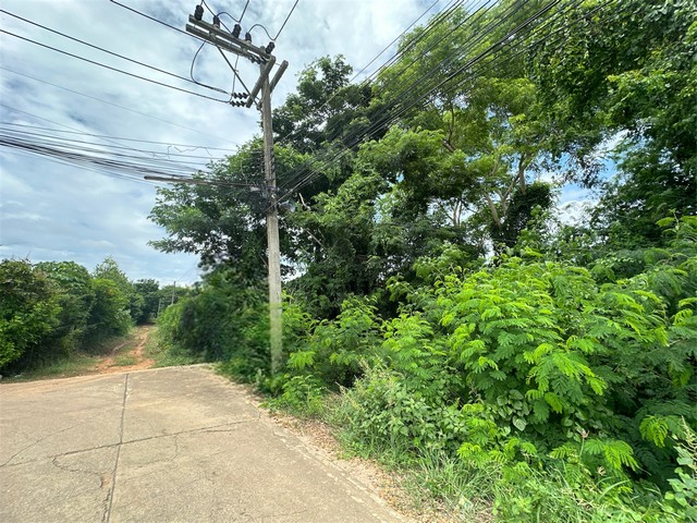 ประกาศฟรี! ซื้อ-ขาย-เช่า คอนโด บ้าน ทาวน์โฮม ที่ดิน และพื้นที่เชิงพาณิชย์ทั่วประเทศไทย ทุกทำเล ทุกงบประมาณ ไม่มีค่าใช้จ่าย ลงง่าย ขายไว เข้าถึงผู้ซื้อโดยตรง 4 21748pic3.jpg