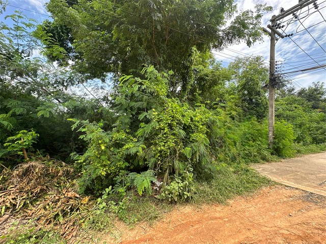 ประกาศฟรี! ซื้อ-ขาย-เช่า คอนโด บ้าน ทาวน์โฮม ที่ดิน และพื้นที่เชิงพาณิชย์ทั่วประเทศไทย ทุกทำเล ทุกงบประมาณ ไม่มีค่าใช้จ่าย ลงง่าย ขายไว เข้าถึงผู้ซื้อโดยตรง 5 21748pic4.jpg