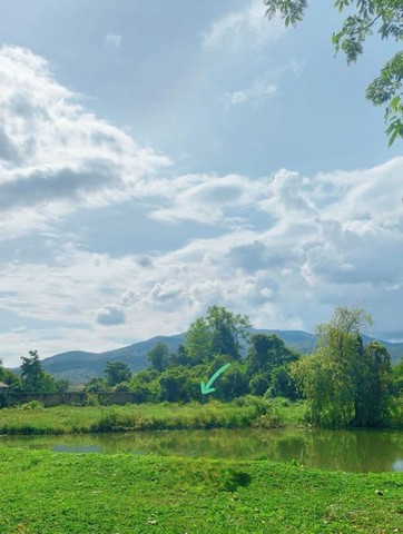 ประกาศฟรี! ซื้อ-ขาย-เช่า คอนโด บ้าน ทาวน์โฮม ที่ดิน และพื้นที่เชิงพาณิชย์ทั่วประเทศไทย ทุกทำเล ทุกงบประมาณ ไม่มีค่าใช้จ่าย ลงง่าย ขายไว เข้าถึงผู้ซื้อโดยตรง 3 172127pic2.jpg