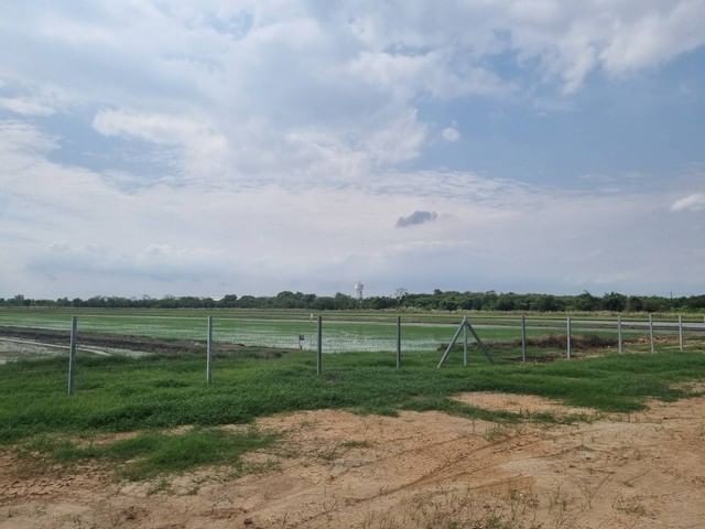 ประกาศฟรี! ซื้อ-ขาย-เช่า คอนโด บ้าน ทาวน์โฮม ที่ดิน และพื้นที่เชิงพาณิชย์ทั่วประเทศไทย ทุกทำเล ทุกงบประมาณ ไม่มีค่าใช้จ่าย ลงง่าย ขายไว เข้าถึงผู้ซื้อโดยตรง 3 276900pic2.jpg