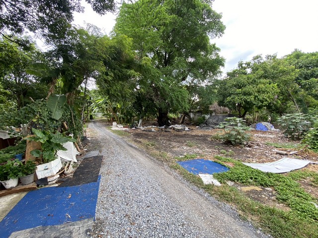 ประกาศฟรี! ซื้อ-ขาย-เช่า คอนโด บ้าน ทาวน์โฮม ที่ดิน และพื้นที่เชิงพาณิชย์ทั่วประเทศไทย ทุกทำเล ทุกงบประมาณ ไม่มีค่าใช้จ่าย ลงง่าย ขายไว เข้าถึงผู้ซื้อโดยตรง 2 276641pic1.jpg