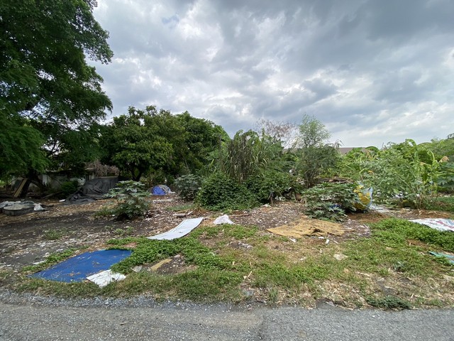 ประกาศฟรี! ซื้อ-ขาย-เช่า คอนโด บ้าน ทาวน์โฮม ที่ดิน และพื้นที่เชิงพาณิชย์ทั่วประเทศไทย ทุกทำเล ทุกงบประมาณ ไม่มีค่าใช้จ่าย ลงง่าย ขายไว เข้าถึงผู้ซื้อโดยตรง 3 276641pic2.jpg