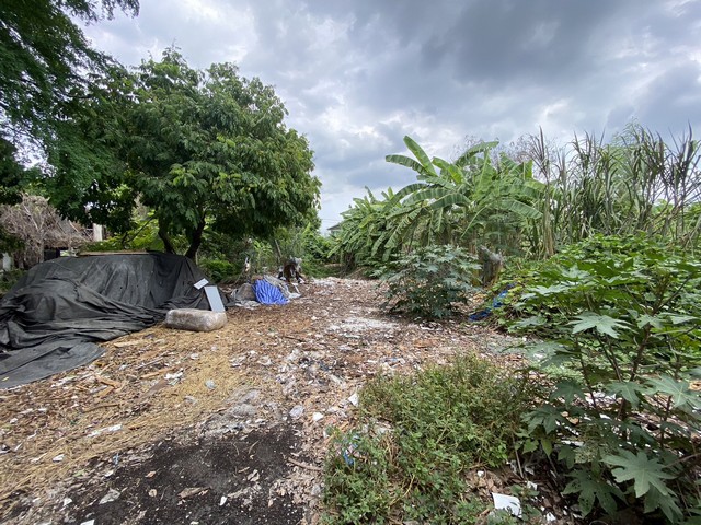 ประกาศฟรี! ซื้อ-ขาย-เช่า คอนโด บ้าน ทาวน์โฮม ที่ดิน และพื้นที่เชิงพาณิชย์ทั่วประเทศไทย ทุกทำเล ทุกงบประมาณ ไม่มีค่าใช้จ่าย ลงง่าย ขายไว เข้าถึงผู้ซื้อโดยตรง 4 276641pic3.jpg