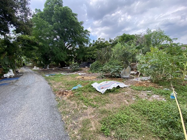 ประกาศฟรี! ซื้อ-ขาย-เช่า คอนโด บ้าน ทาวน์โฮม ที่ดิน และพื้นที่เชิงพาณิชย์ทั่วประเทศไทย ทุกทำเล ทุกงบประมาณ ไม่มีค่าใช้จ่าย ลงง่าย ขายไว เข้าถึงผู้ซื้อโดยตรง 5 276641pic4.jpg