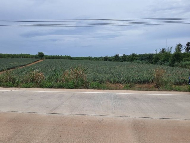 ประกาศฟรี! ซื้อ-ขาย-เช่า คอนโด บ้าน ทาวน์โฮม ที่ดิน และพื้นที่เชิงพาณิชย์ทั่วประเทศไทย ทุกทำเล ทุกงบประมาณ ไม่มีค่าใช้จ่าย ลงง่าย ขายไว เข้าถึงผู้ซื้อโดยตรง 3 22008pic2.jpg