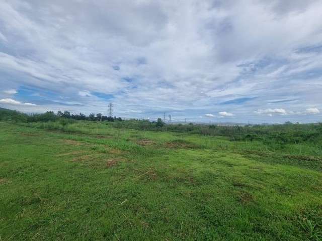 ประกาศฟรี! ซื้อ-ขาย-เช่า คอนโด บ้าน ทาวน์โฮม ที่ดิน และพื้นที่เชิงพาณิชย์ทั่วประเทศไทย ทุกทำเล ทุกงบประมาณ ไม่มีค่าใช้จ่าย ลงง่าย ขายไว เข้าถึงผู้ซื้อโดยตรง 2 22005pic1.jpg