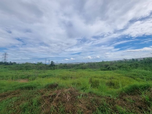 ประกาศฟรี! ซื้อ-ขาย-เช่า คอนโด บ้าน ทาวน์โฮม ที่ดิน และพื้นที่เชิงพาณิชย์ทั่วประเทศไทย ทุกทำเล ทุกงบประมาณ ไม่มีค่าใช้จ่าย ลงง่าย ขายไว เข้าถึงผู้ซื้อโดยตรง 3 22005pic2.jpg